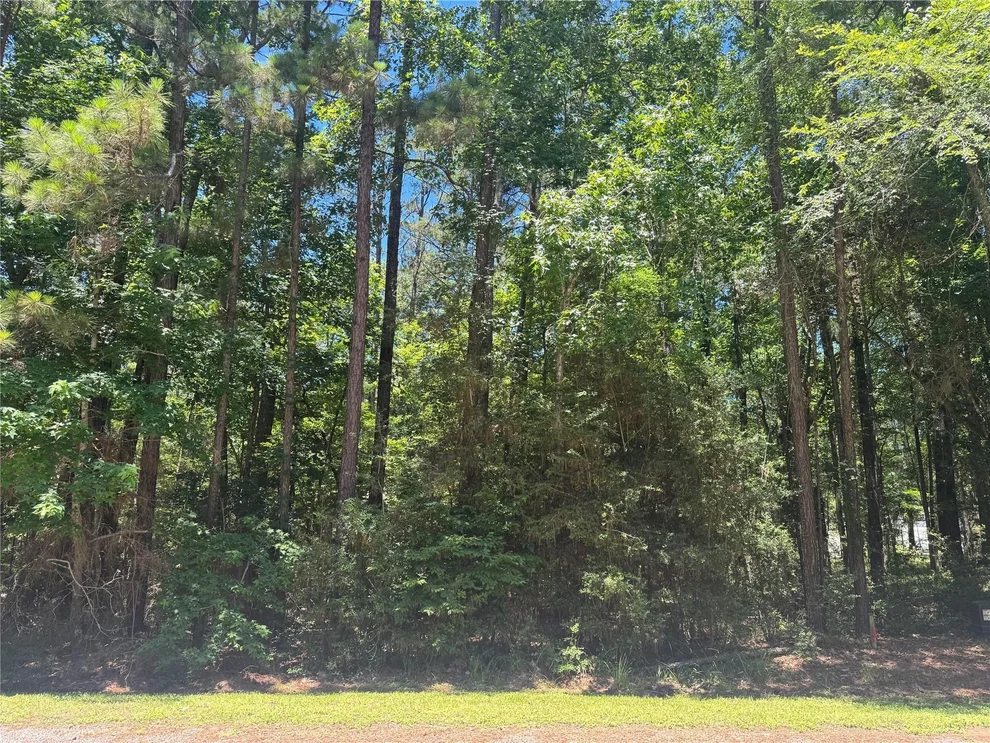Unit for sale at 69 Sunny Hill Drive, Coldspring, TX 77331