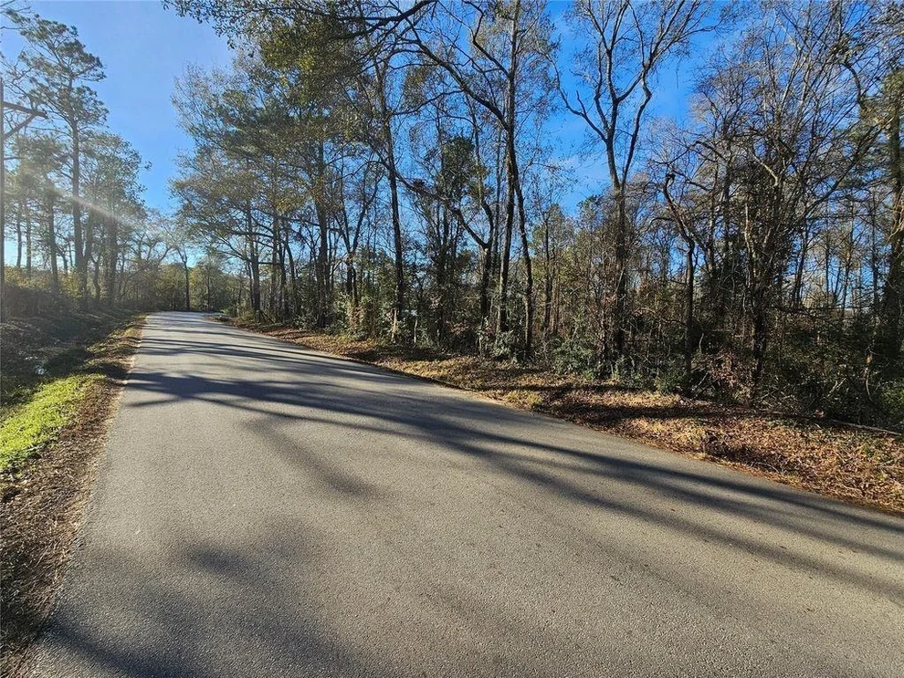 Unit for sale at 196 Sherwood Drive, Shepherd, TX 77371