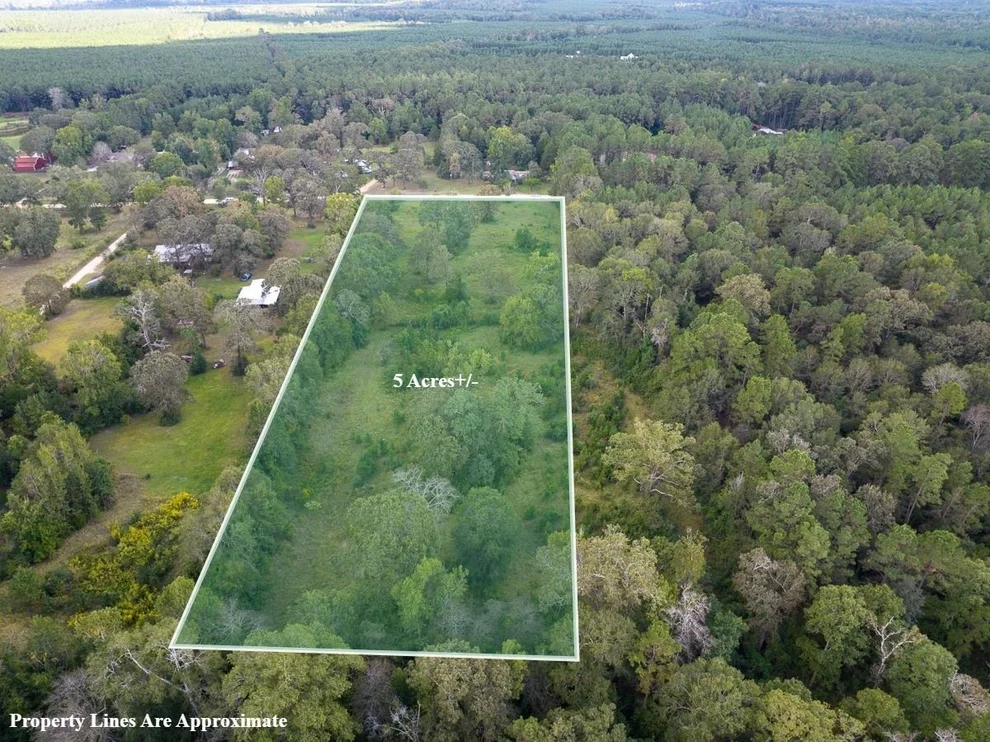 Unit for sale at TBD Buffalo Subdivision Road, Livingston, TX 77351