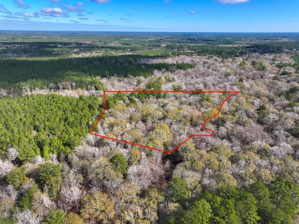 Unit for sale at 0 Off County Road 1875, Warren, TX 77625