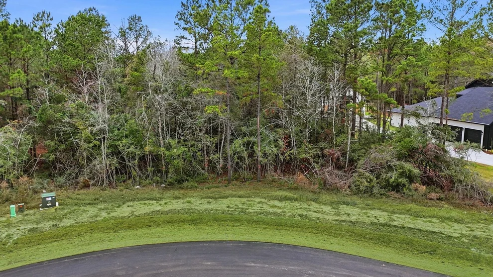 Unit for sale at 25139 Balmorhea Way, Montgomery, TX 77316