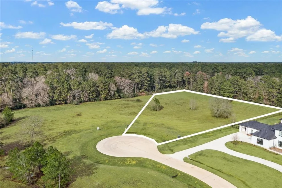 Unit for sale at 2508 Harper Cliff Court, Hockley, TX 77447