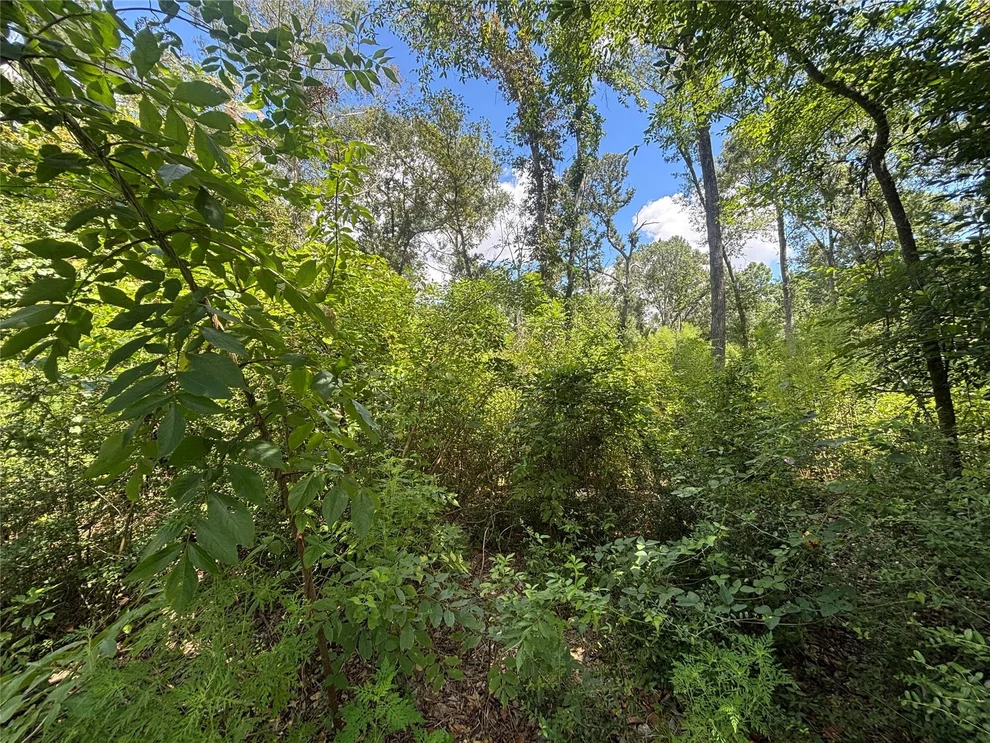 Unit for sale at 26059 E Christine Drive, Splendora, TX 77372