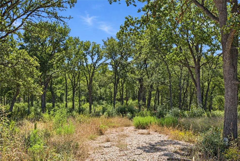 Unit for sale at 115 Deep Woods Court, Cedar Creek, TX 78612