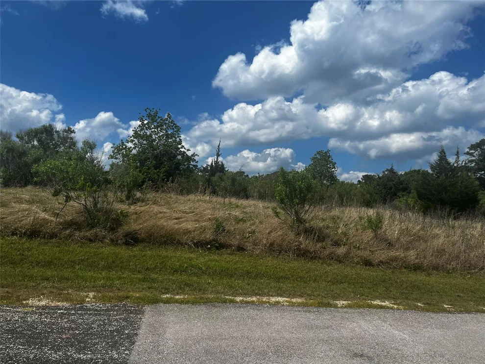 Unit for sale at 170 N Pine Harbour Drive, Coldspring, TX 77331