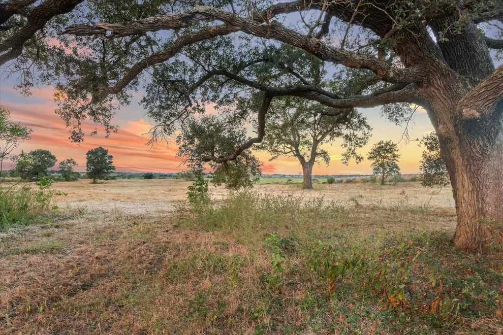 Photo of 2339 Texas 36, Sealy, TX 77474