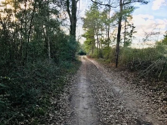 Unit for sale at 00 10 Ac Off Of Fm 1309, Lovelady, TX 75851