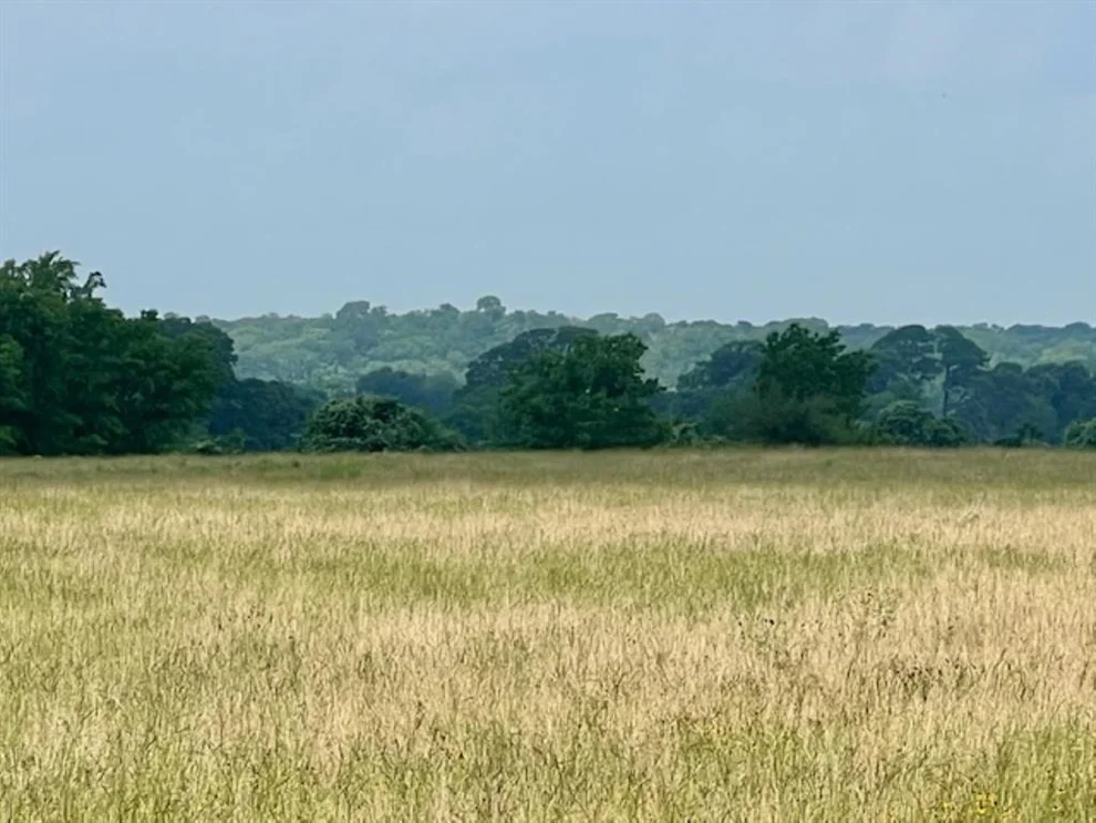 Unit for sale at 38 acres Shaws Bend Rd, Columbus, TX 78934