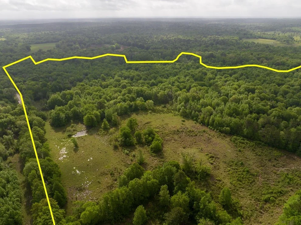 Unit for sale at 0 Fodice Road, Crockett, TX 75835