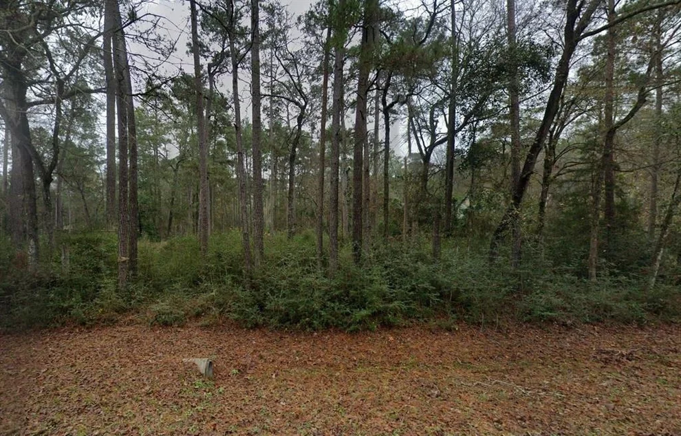 Unit for sale at 303 Pelican Street, Magnolia, TX 77355
