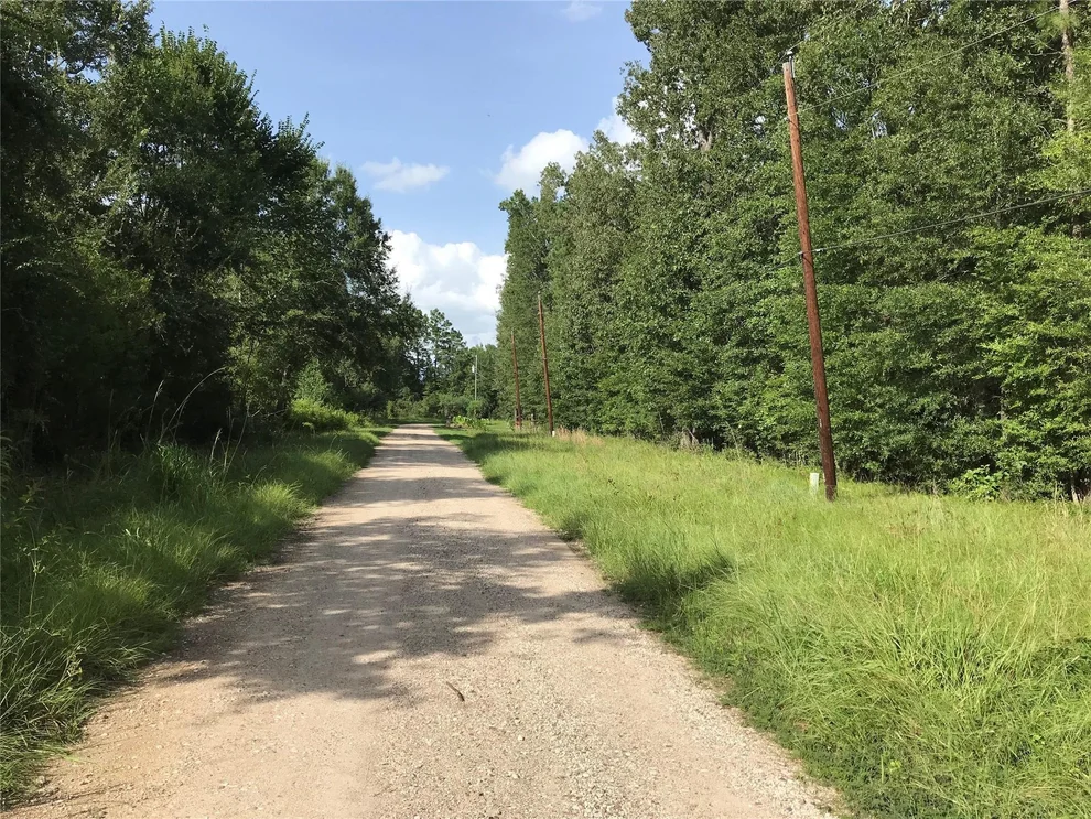Unit for sale at Lot 193 Elmwood Drive, Livingston, TX 77351