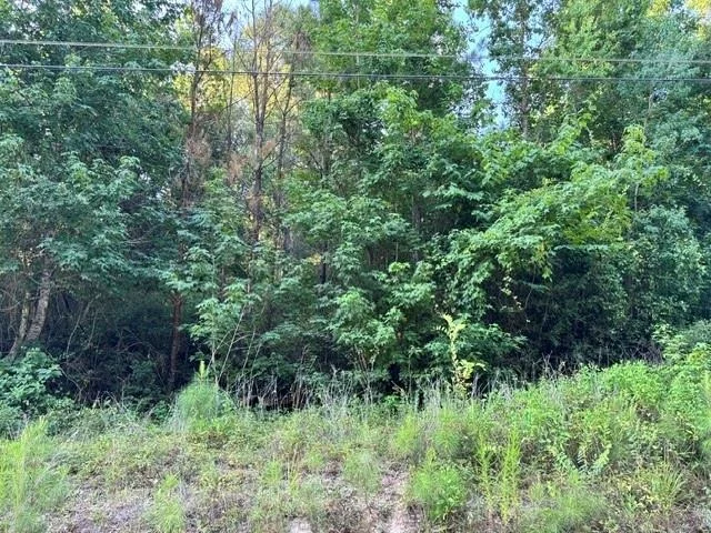 Unit for sale at TBD16 White Rock Acres Road, Trinity, TX 75862