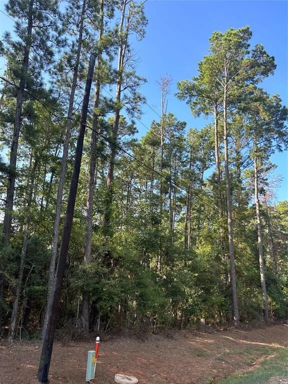 Unit for sale at 434445 Rob, Livingston, TX 77351