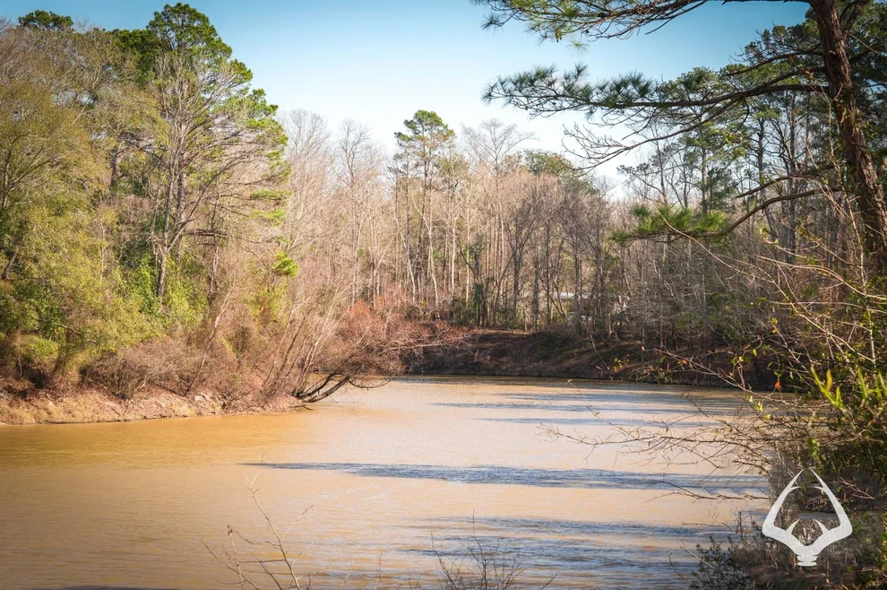 Unit for sale at 00 00 Recreational Road 255, Colmesneil, TX 75938