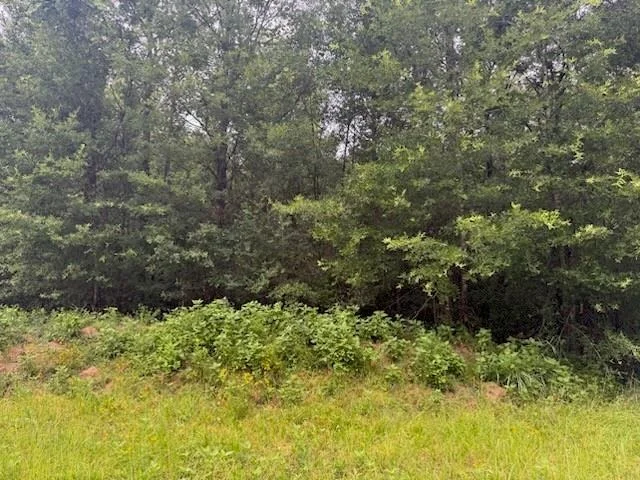 Unit for sale at TBD Deer Trail, Livingston, TX 77351