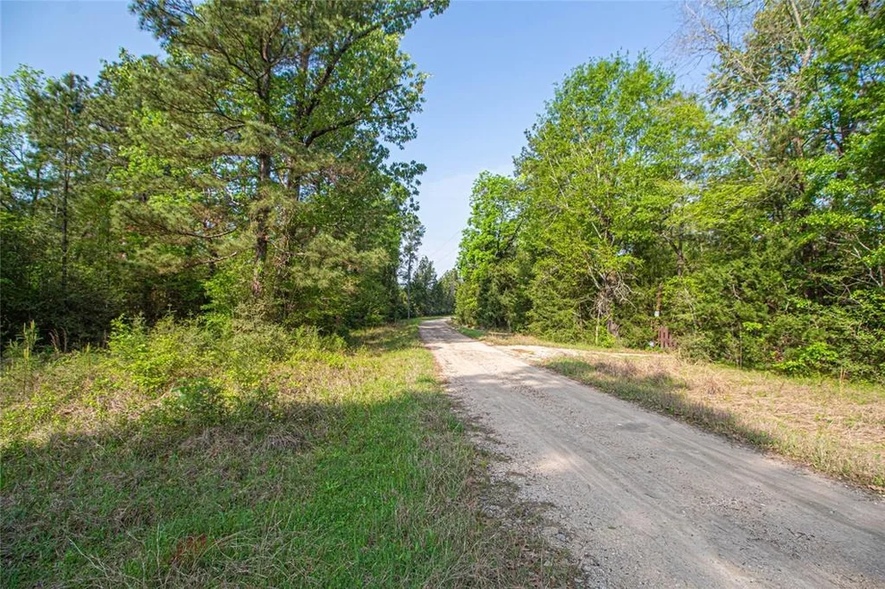 Unit for sale at TBD Molt Lane, Point Blank, TX 77364
