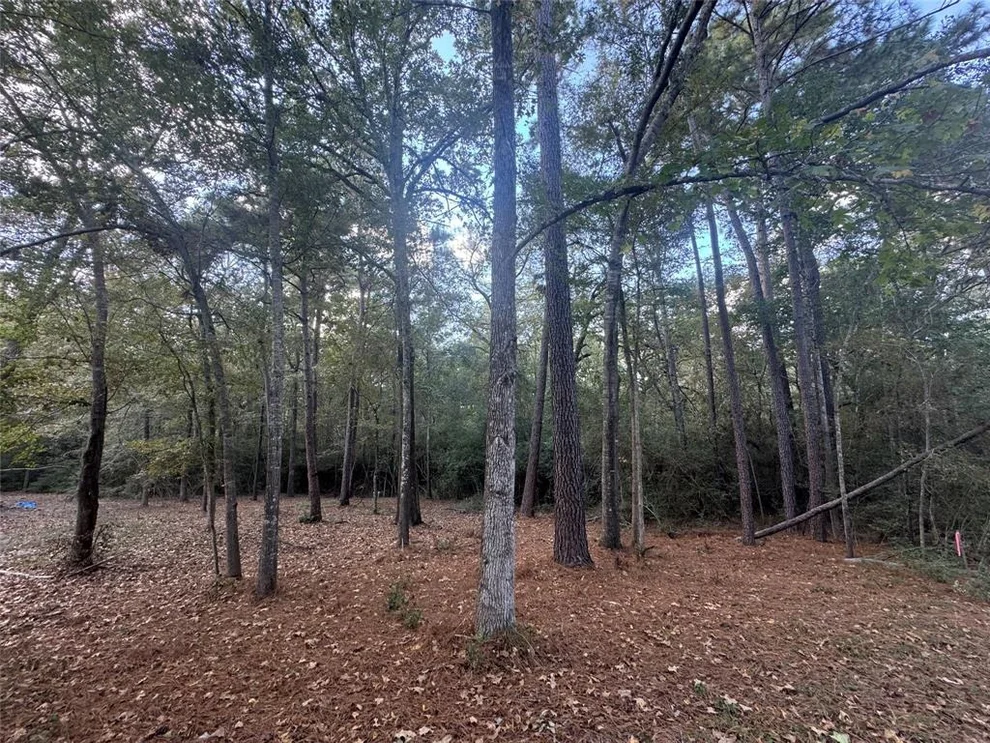 Unit for sale at 45 Great Oak, Trinity, TX 75862