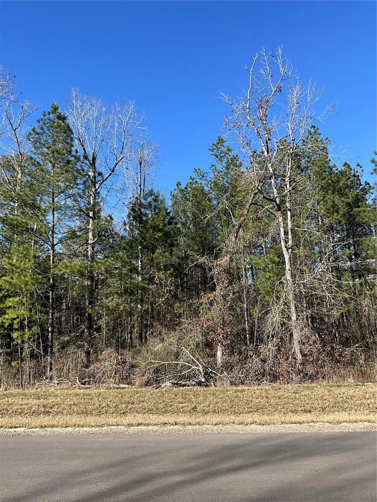 Unit for sale at 175 Exploration Road, Willis, TX 77378