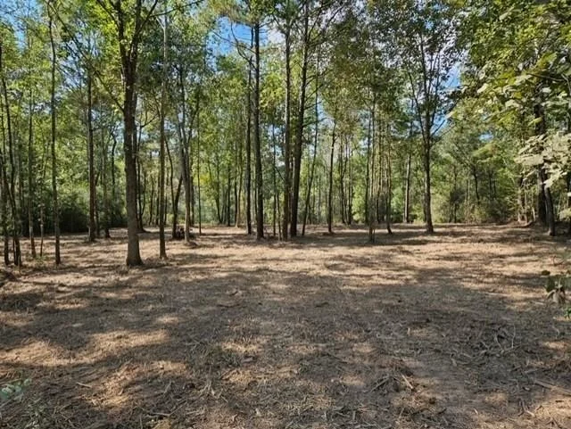 Unit for sale at 15815 Ridge Rock Road, Willis, TX 77378