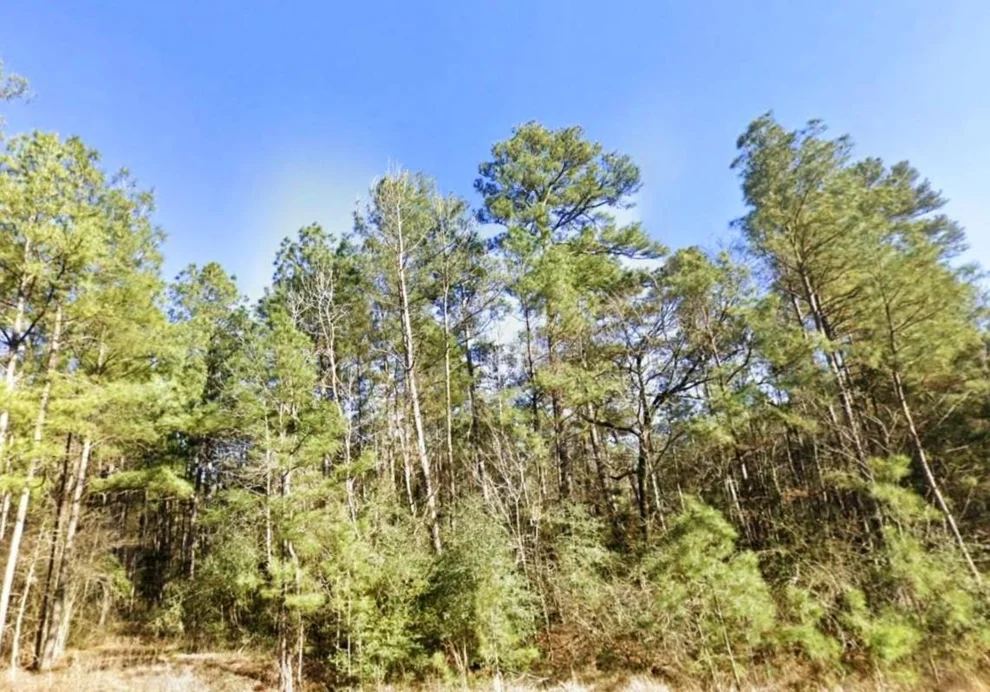 Unit for sale at TBD #7 Fond Fields Road, New Waverly, TX 77358