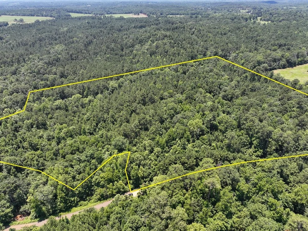 Unit for sale at 2 Lick Skillet Road, Milam, TX 75959