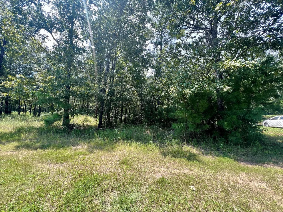 Unit for sale at TBD Hidden Oaks Drive, Point Blank, TX 77364