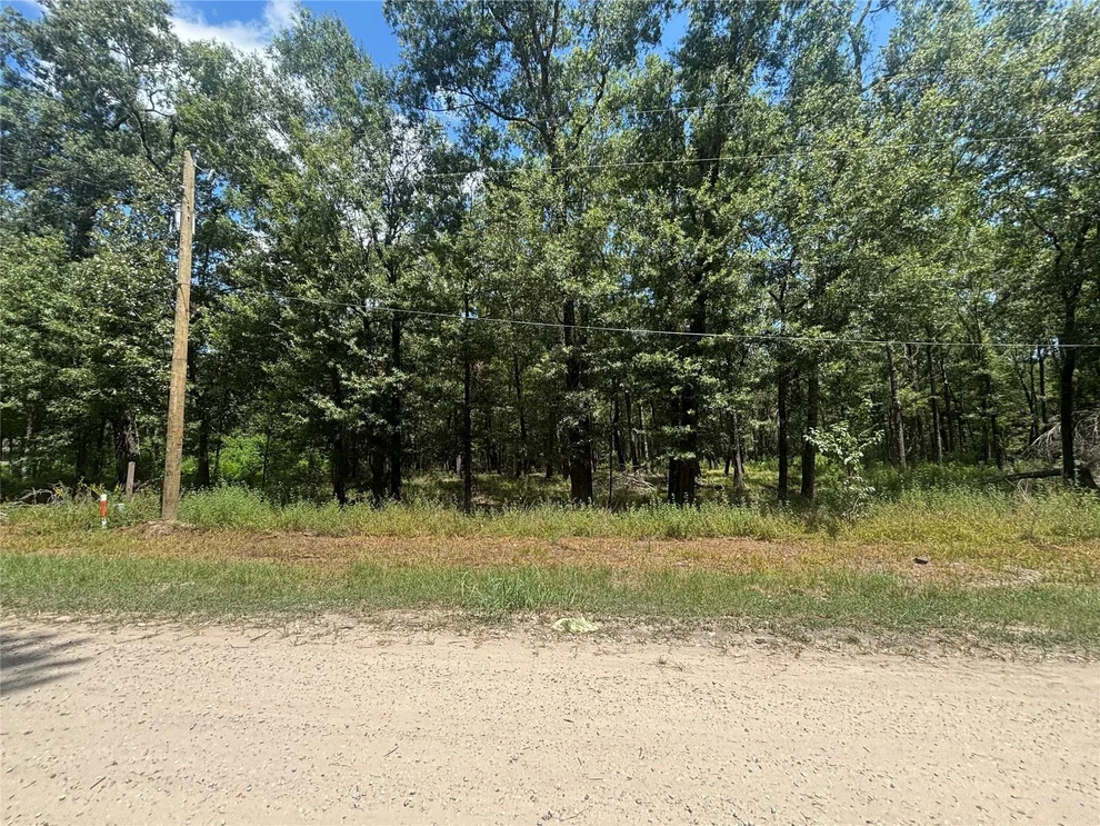 Unit for sale at 0 San Juan, Livingston, TX 77351