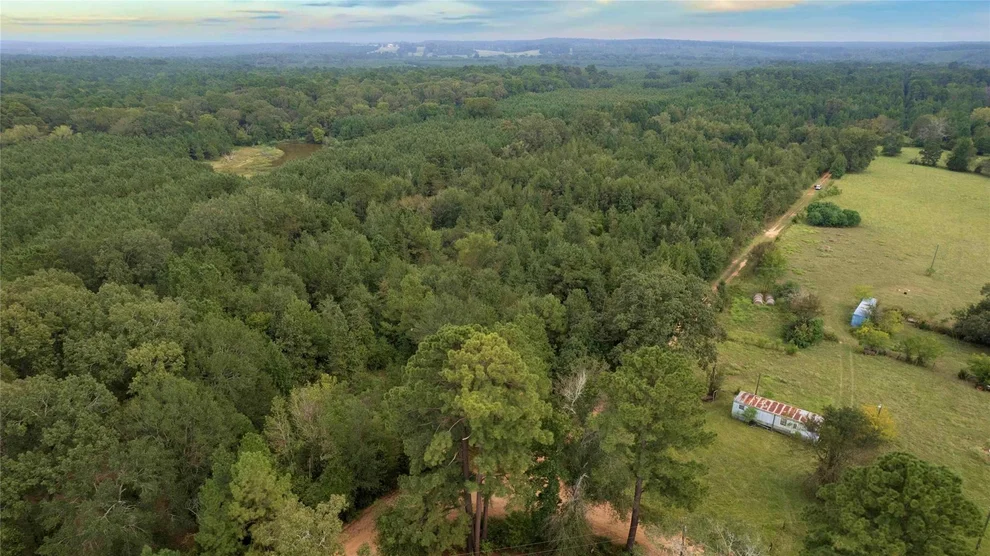 Unit for sale at 770 County Rd 1675, Grapeland, TX 75844