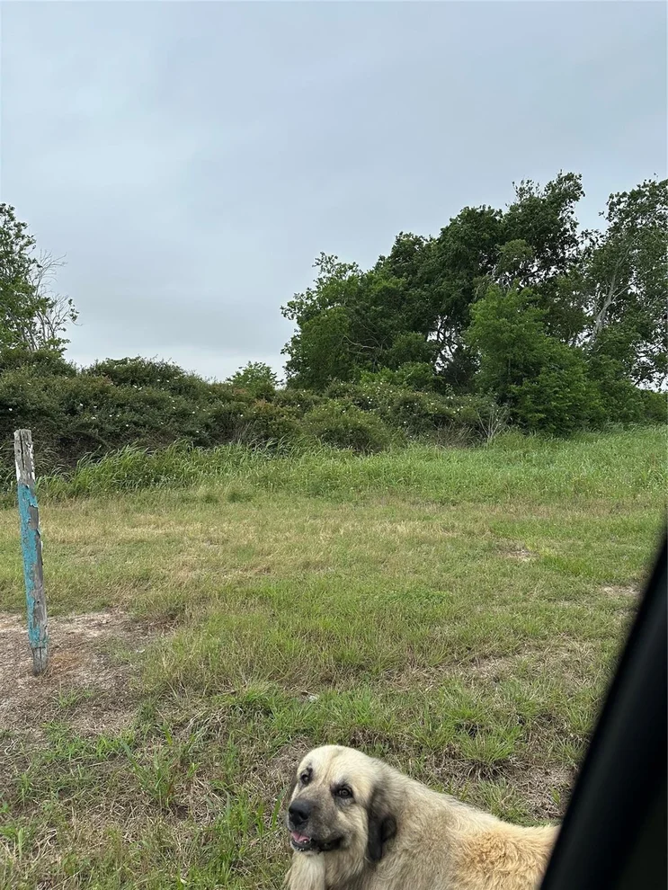 Unit for sale at 0 W County Road 465 Texaco Road, Blessing, TX 77419