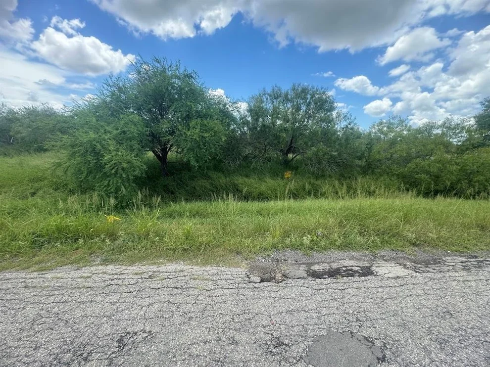 Unit for sale at 0 W 1st Street, Bishop, TX 78343