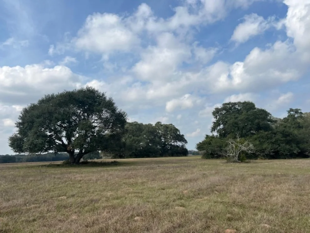 Unit for sale at TBD 20 Acres Cat Spring Road, Cat Spring, TX 78933