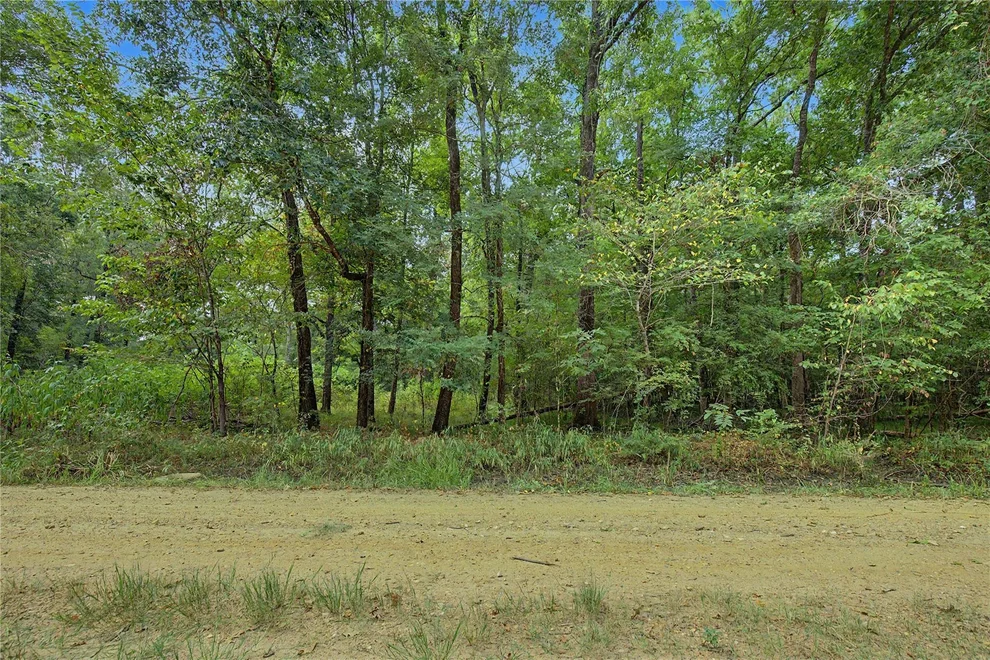 Unit for sale at 0 Holt Street, Coldspring, TX 77331