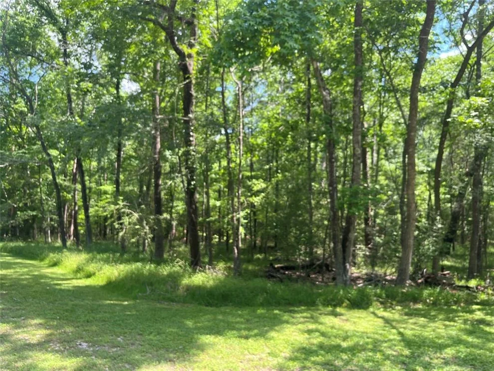 Unit for sale at 52 S Royale Greens Drive, Coldspring, TX 77331