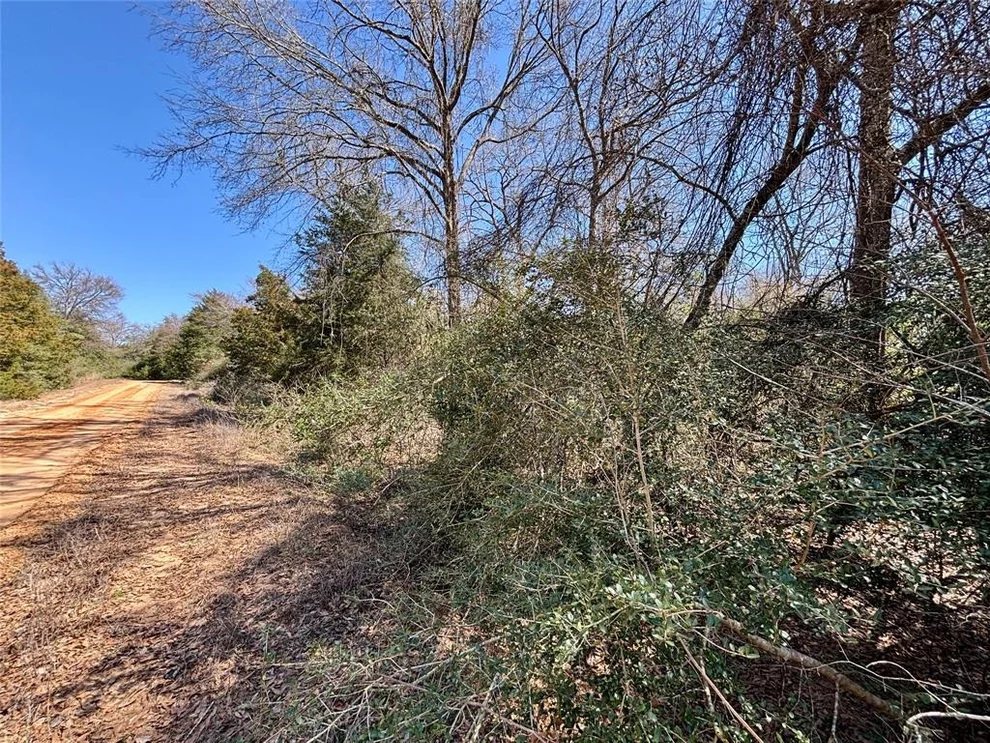 Unit for sale at TBD Burgandy Drive, Normangee, TX 77871
