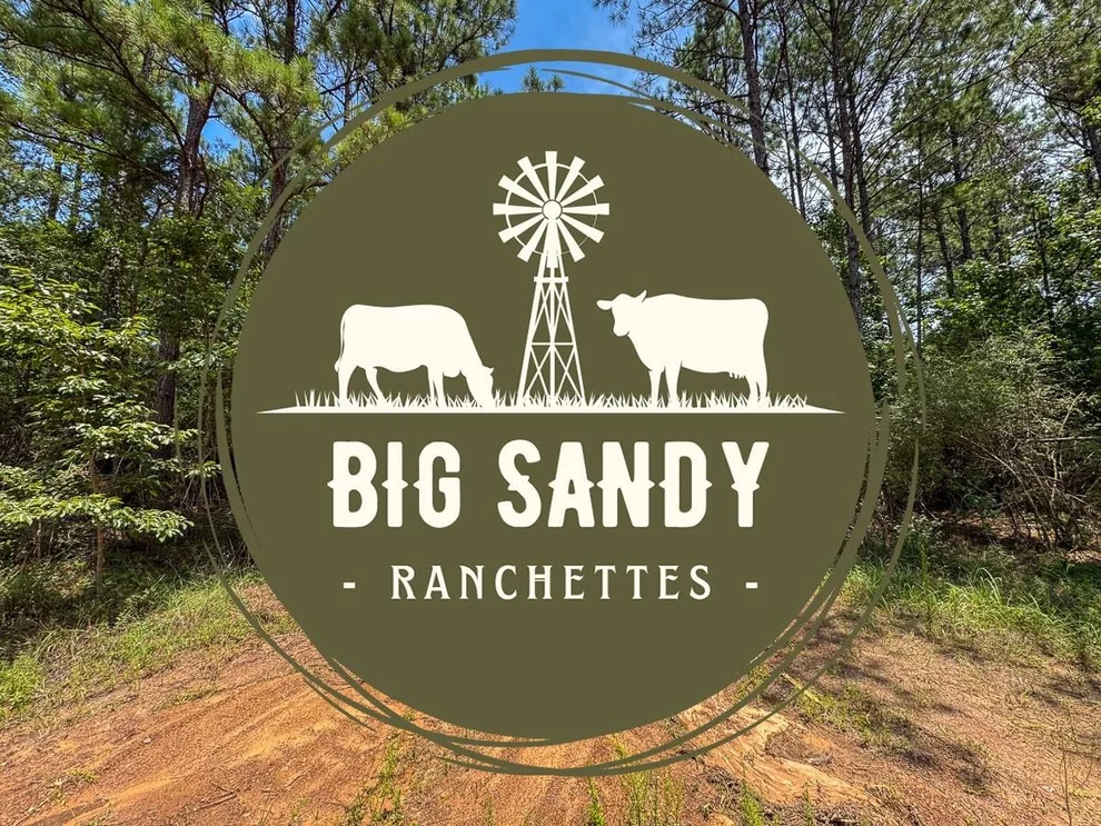 Unit for sale at T-6 Benny Griffin Road, Dallardsville, TX 77351