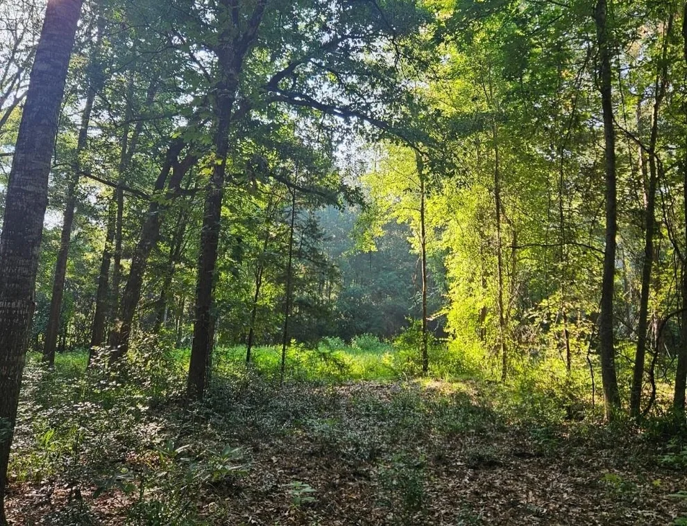 Unit for sale at 16196 Cedar Lane Loop, Willis, TX 77378