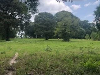 Unit for sale at 000 Counts Road, Point Blank, TX 77364