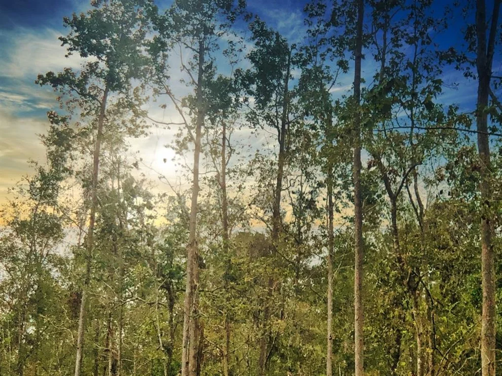 Unit for sale at 00 Oleander Dr, Vidor, TX 77662