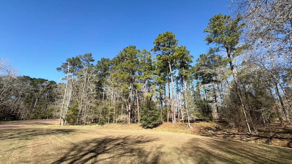 Unit for sale at 0 S Royale Greens Drive, Coldspring, TX 77331