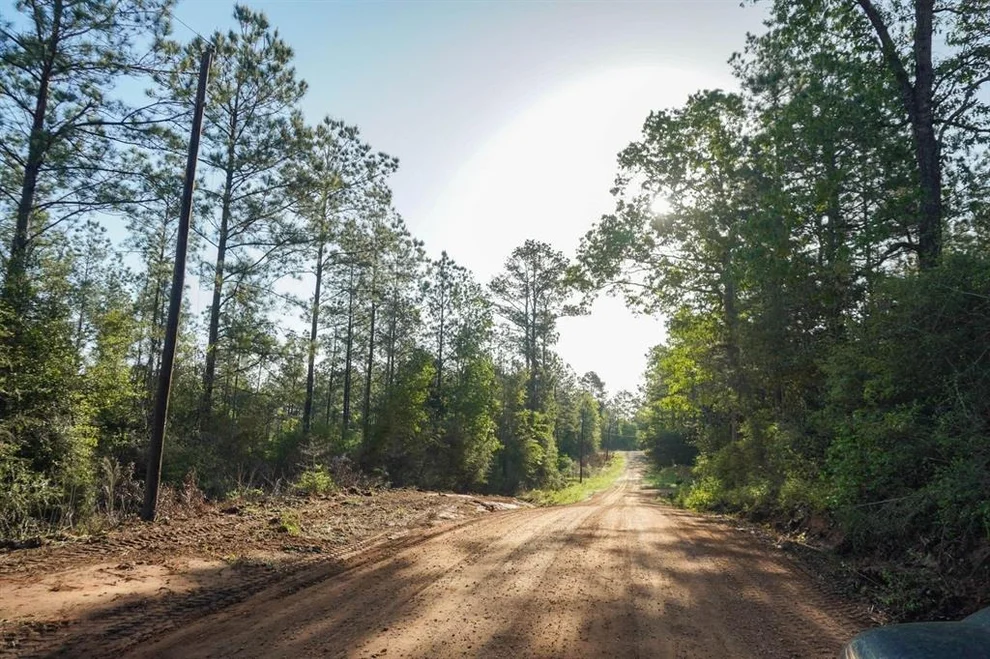 Unit for sale at TBD County Road 4575, Spurger, TX 77660