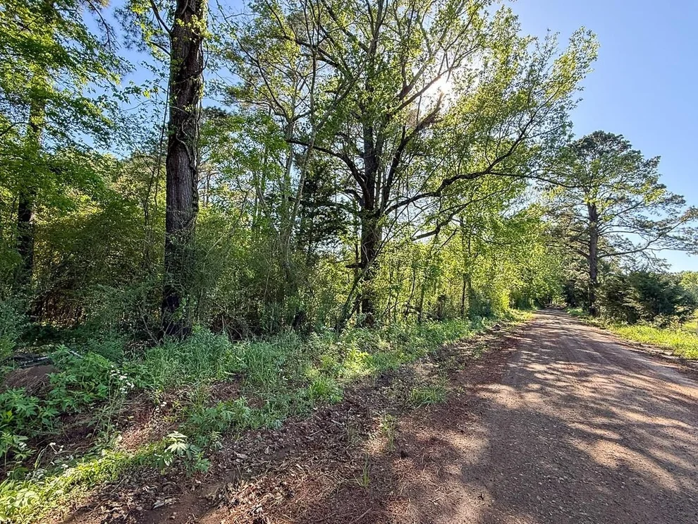 Unit for sale at TBD Flat Road, Milam, TX 75930