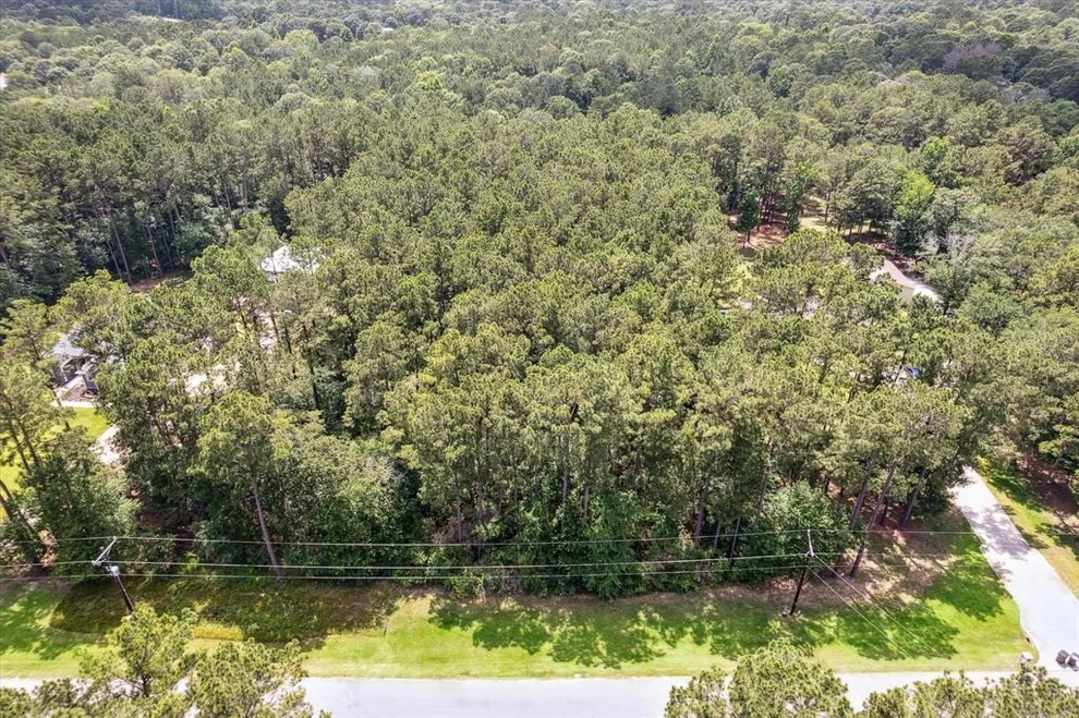Unit for sale at L#3 Woodforest Drive, Waller, TX 77484