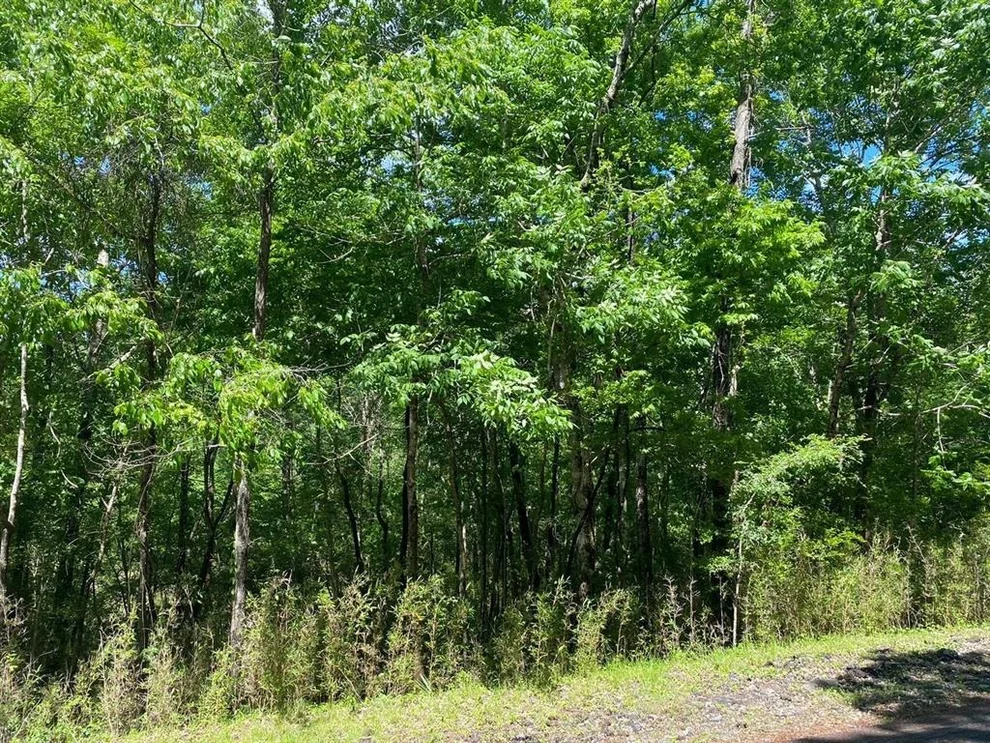 Unit for sale at 22 S Pine Harbour Drive, Coldspring, TX 77331