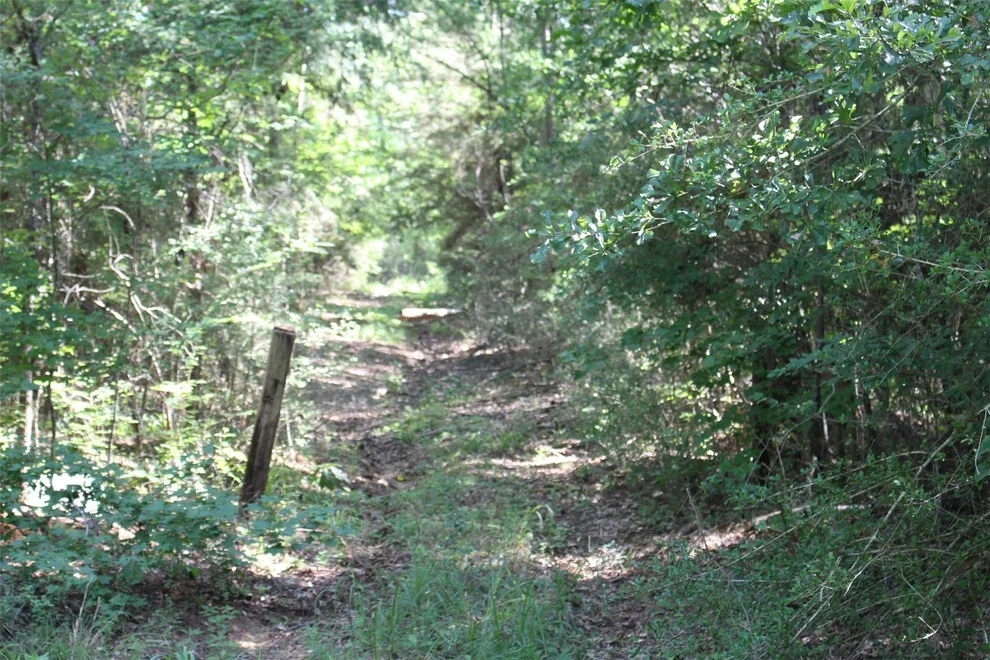 Unit for sale at 000 County Road 2240, Grapeland, TX 75844