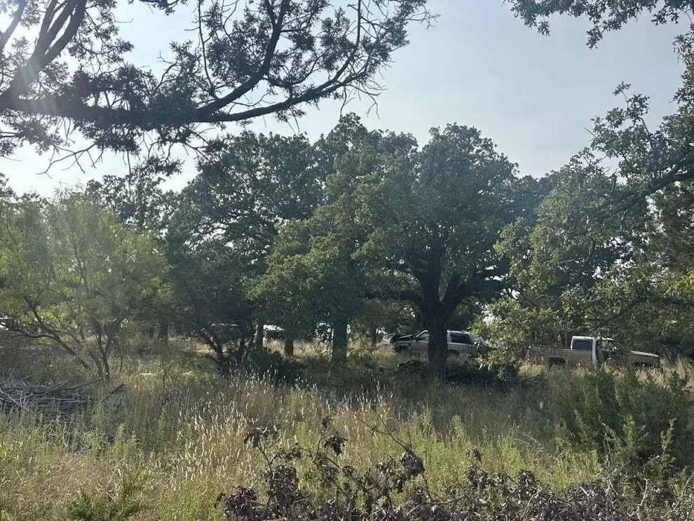 Unit for sale at 0 Siesta Lane, Tuscola, TX 79562