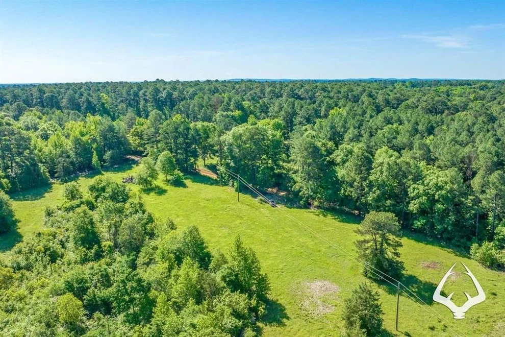 Unit for sale at TBD County Road 4849, Timpson, TX 75975