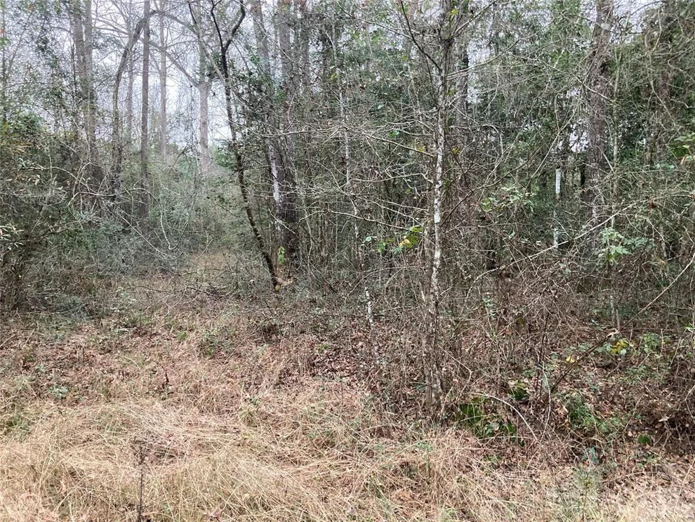 Unit for sale at TBD Davis, Livingston, TX 77351