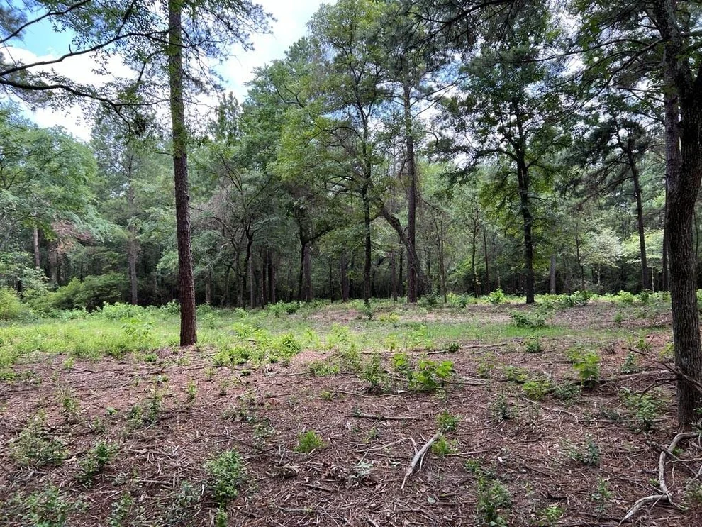 Unit for sale at 0040 County Road 302, Plantersville, TX 77363