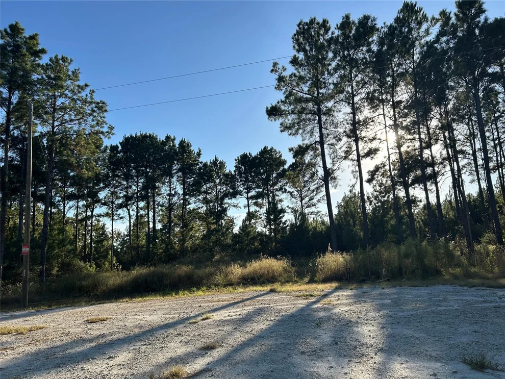Unit for sale at Tract 12 Fm 230, Lovelady, TX 77854