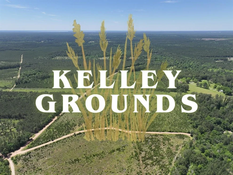 Unit for sale at 1-2 Kelley Road, Livingston, TX 77351